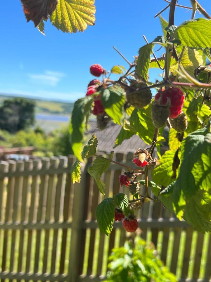 Black Isle View Lejlighed Dingwall Eksteriør billede
