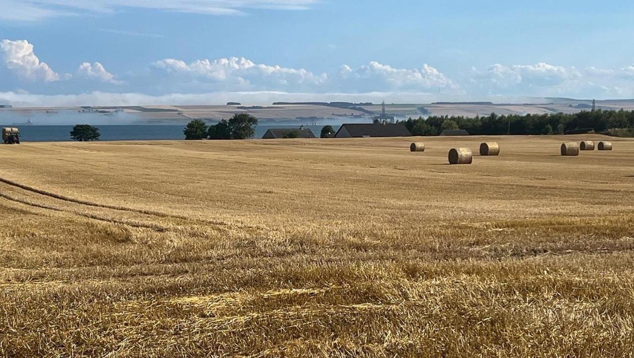 Black Isle View Lejlighed Dingwall Eksteriør billede