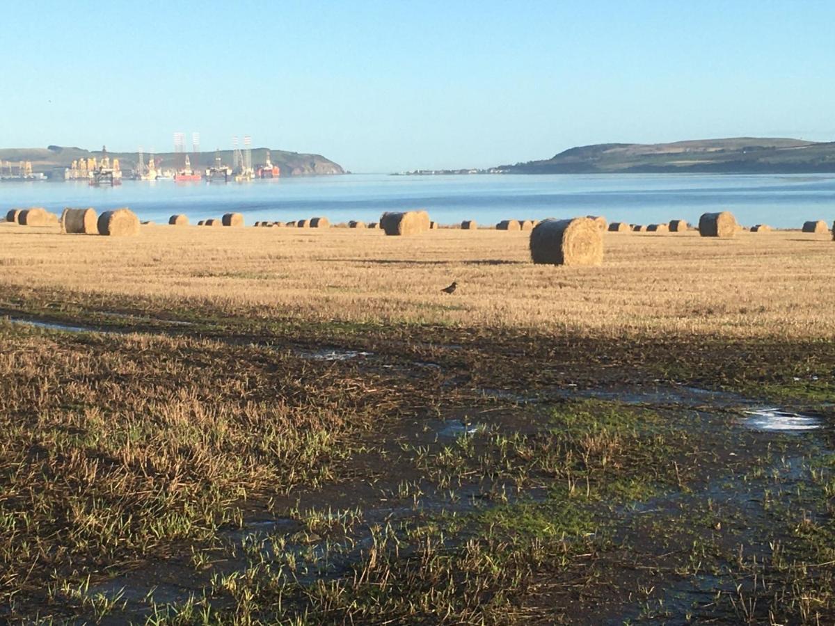 Black Isle View Lejlighed Dingwall Eksteriør billede
